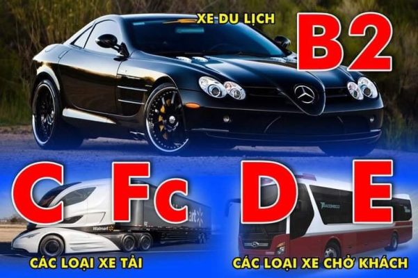 Học lái xe oto bằng B1